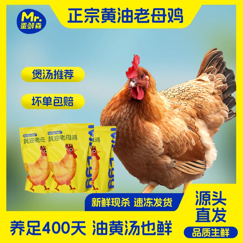 【精选老母鸡】正宗黄油老母鸡3只装 炖汤/红烧两用 共6斤以上