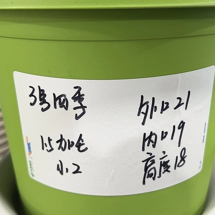 特价3号口21高18白色10只带托