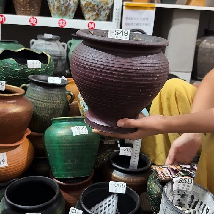 紫色鱼尾高度19口径19