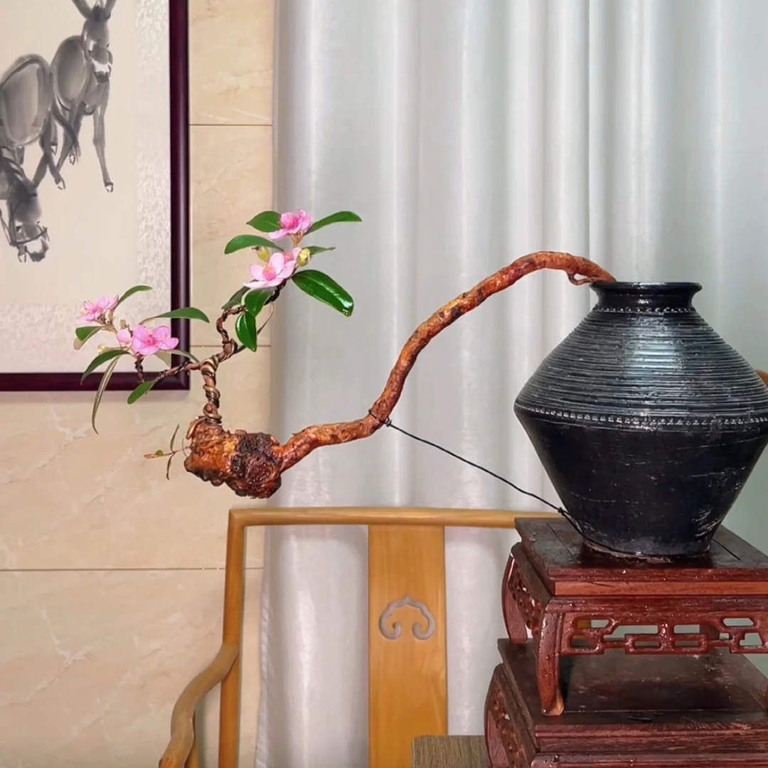 实物实拍悬崖式桃金娘山捻子盆景