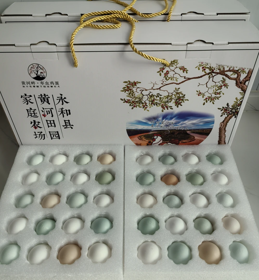 山西永和黄河畔枣虫鸡蛋