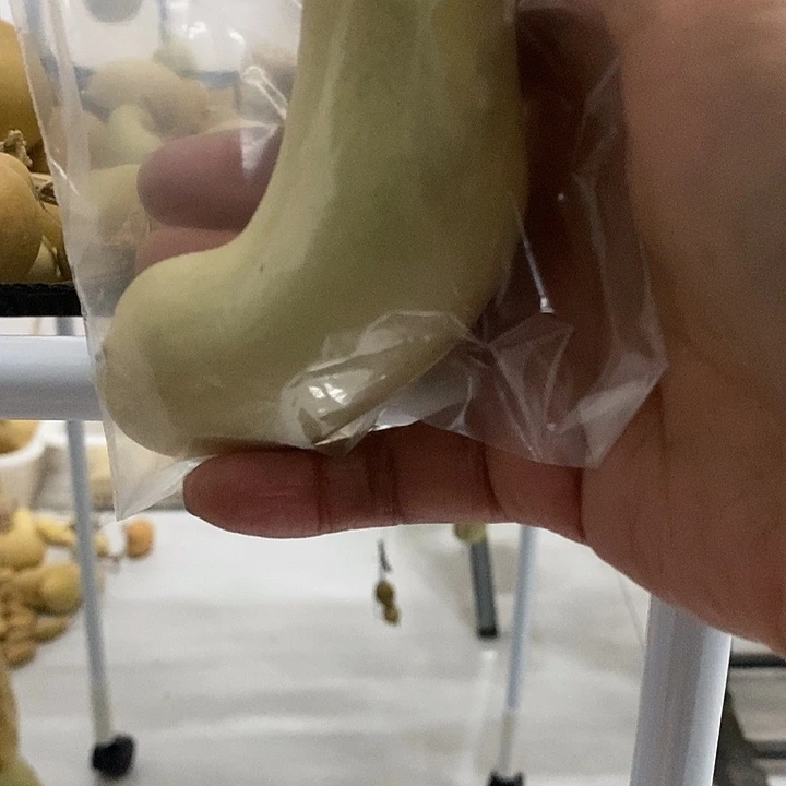 ****个异形葫芦手把件葫芦