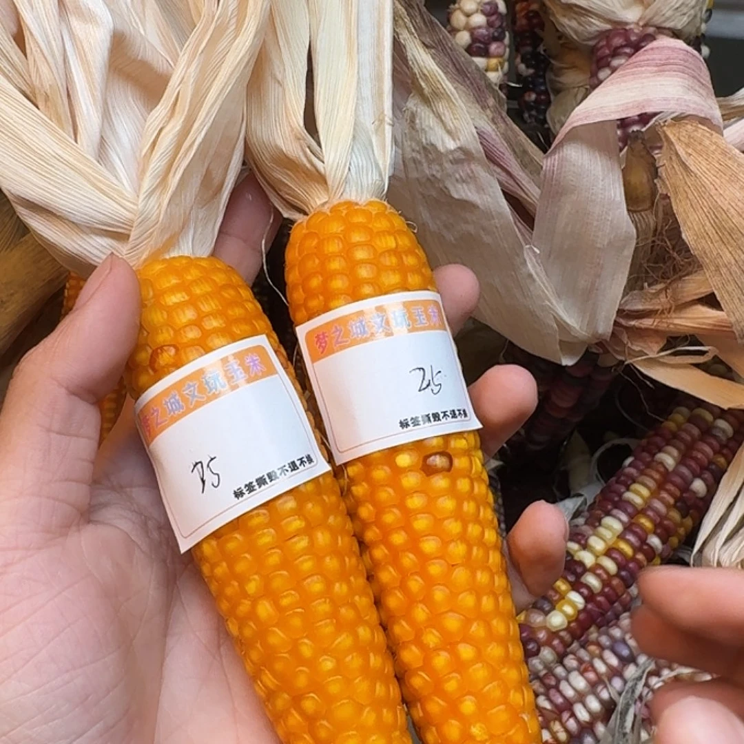 菲***r吊坠柏香籽/百香籽