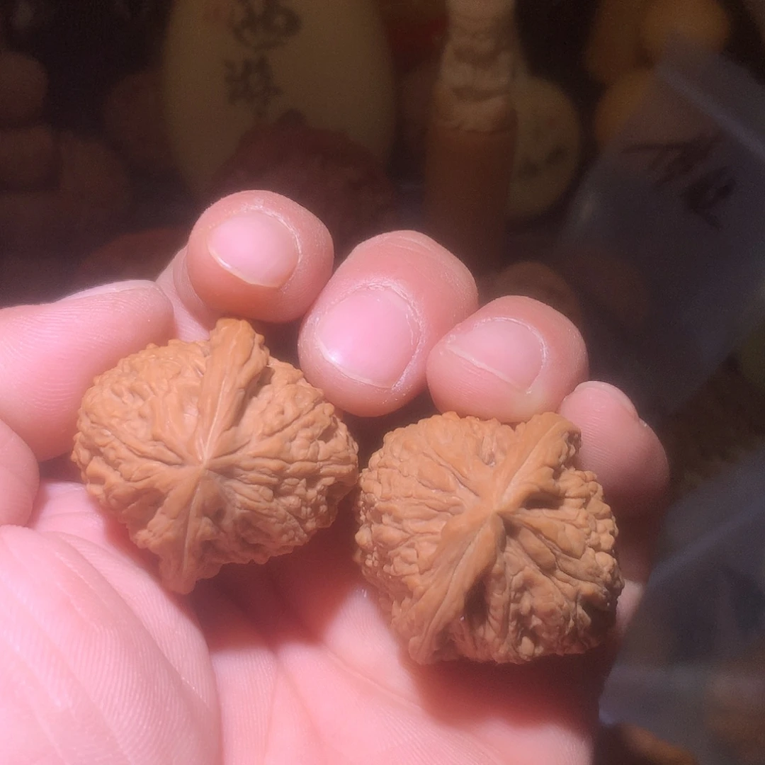 核桃全品山地南疆石