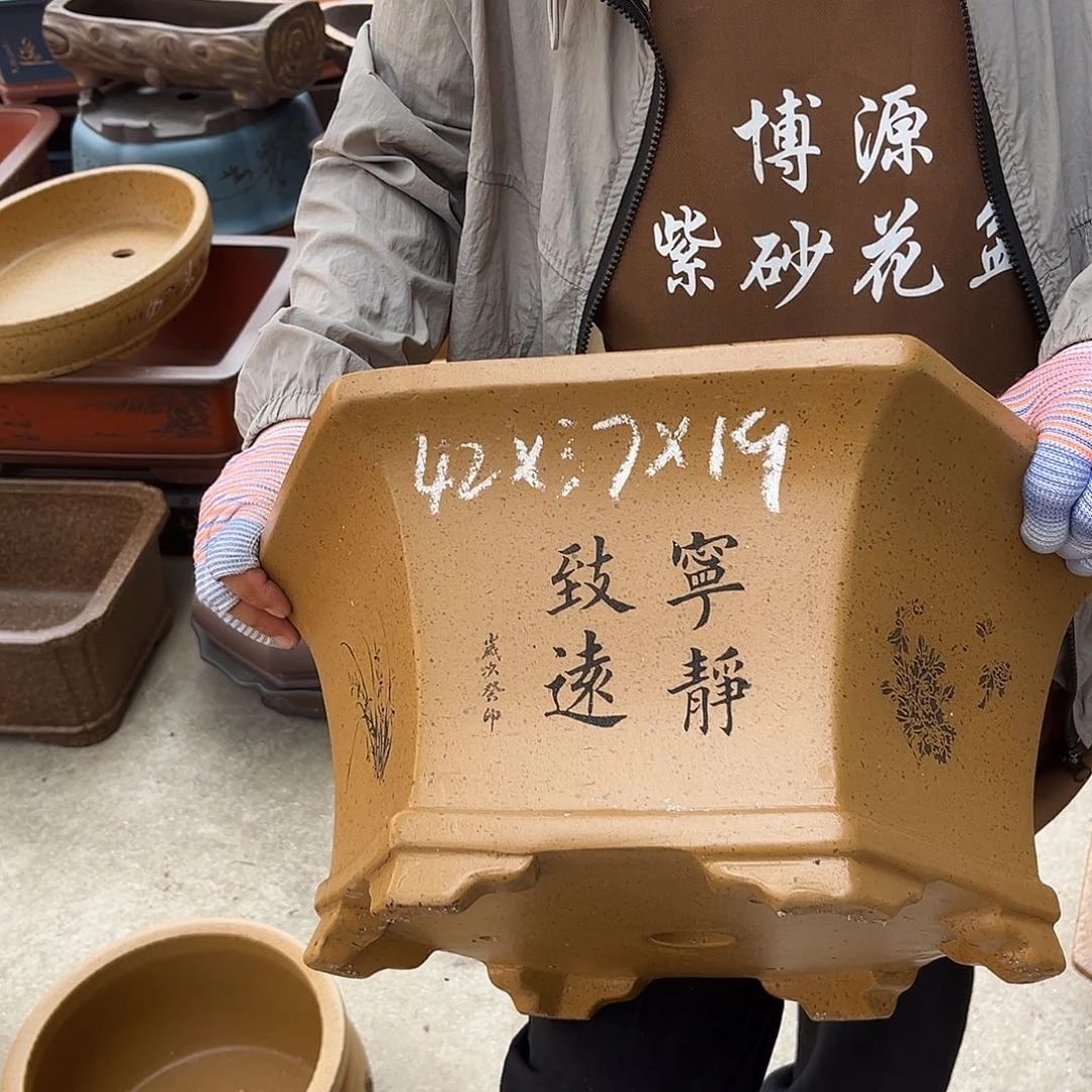 紫砂花盆盆景艺术