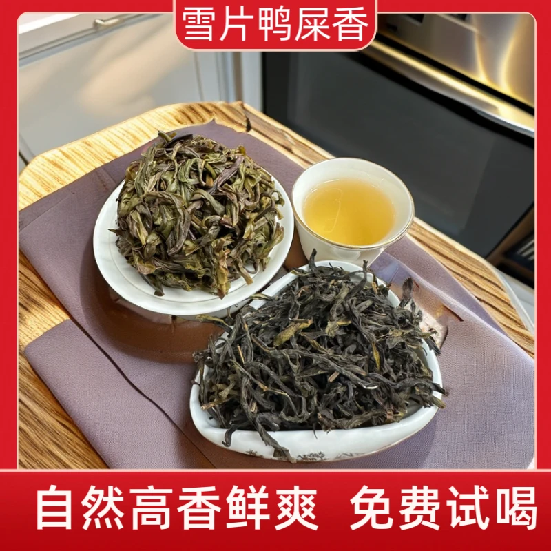 正宗雪片鸭屎香优质原产地自家雪片鸭屎香