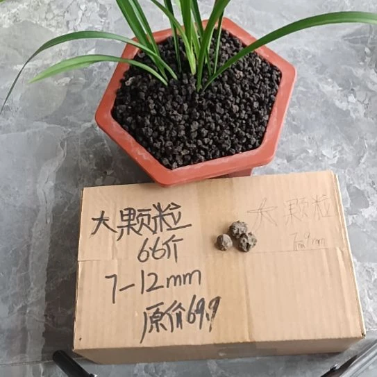 努***宝兰菌黑山土大颗粒6.6斤