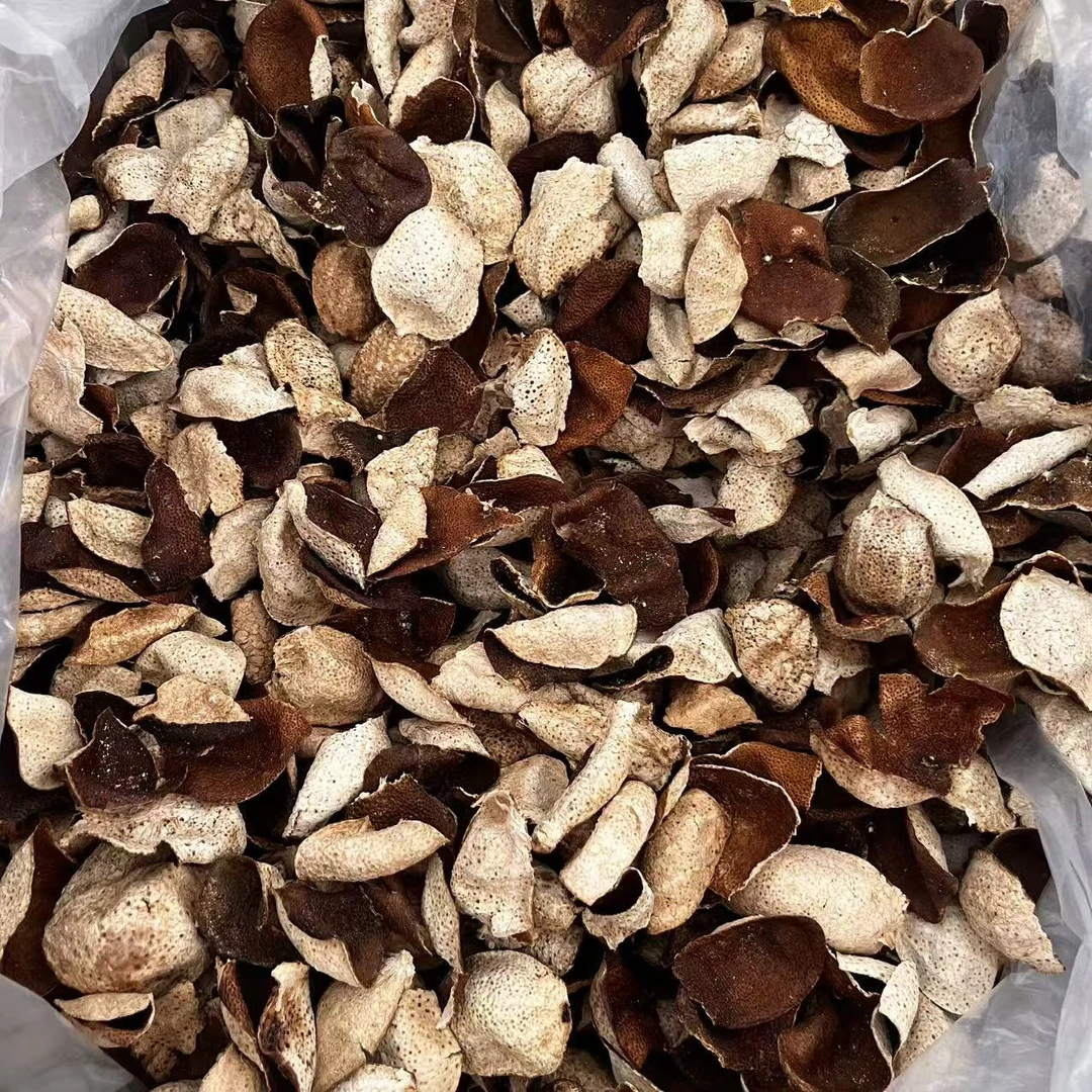 2019年南坦细叶油二红皮断片