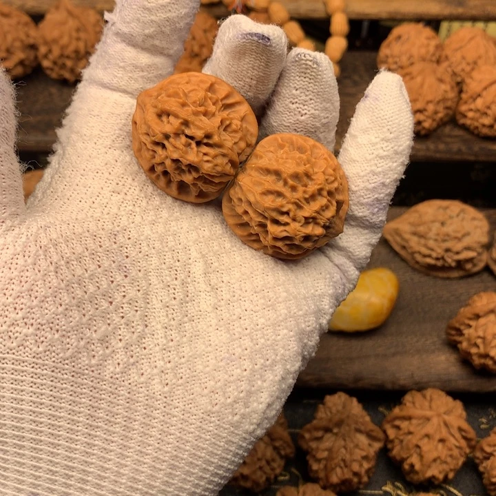 34尺秦岭野生小金豆