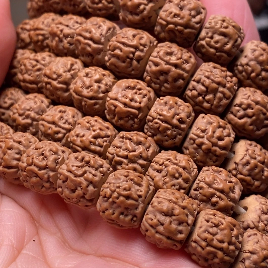蚪***馆菩提籽类藏切盘龙