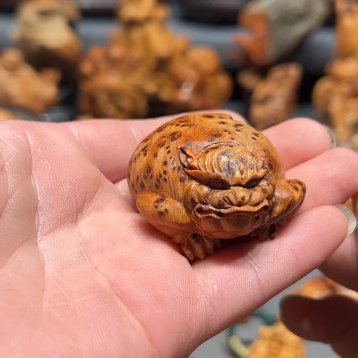 柏木（崖柏）点点关注^_^