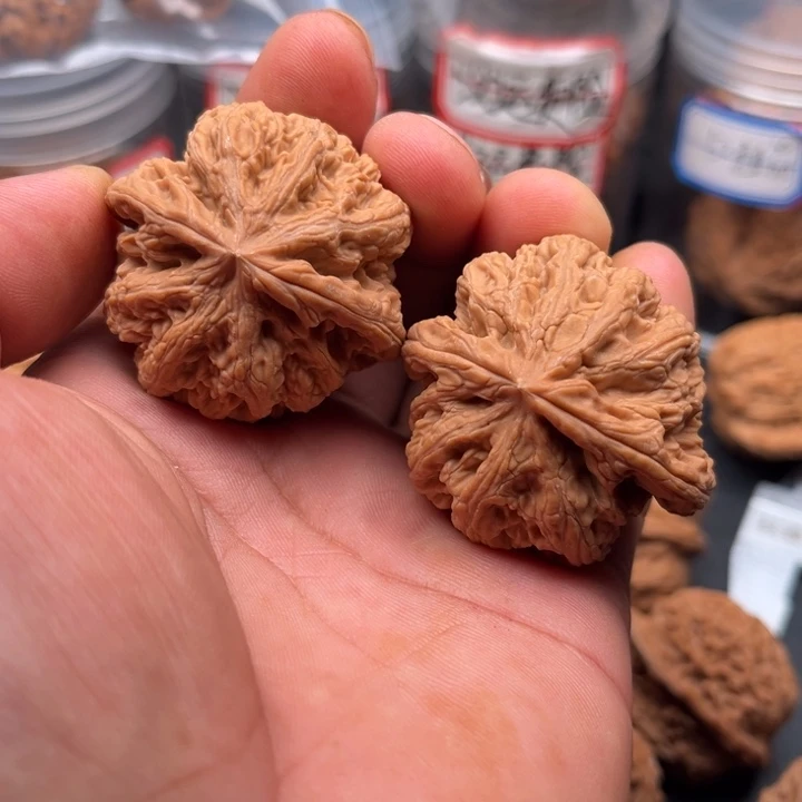 文玩核桃把件粗筋43
