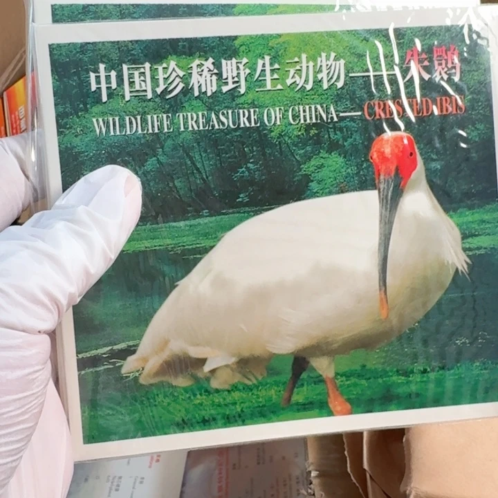 其他普通金属朱鹮卡册