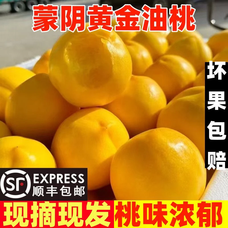 【顺丰包邮】正宗山东蒙阴黄金油桃露天现摘新鲜酸甜爽口黄桃脆甜