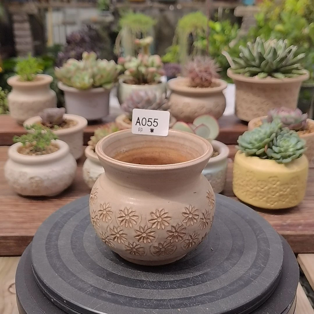 印章多肉花盆A055