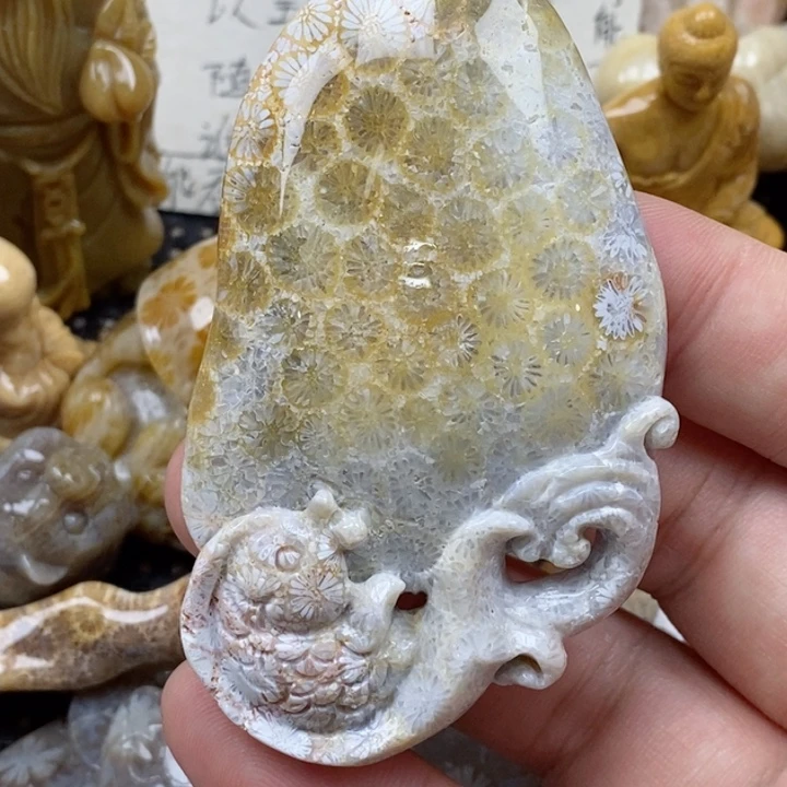 颈饰未镶嵌硅化珊瑚（珊瑚玉）有瑕