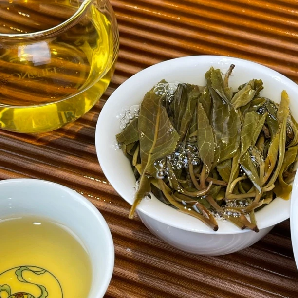 老倚邦2025古树头春纯料挑采100克饼 1g*1包