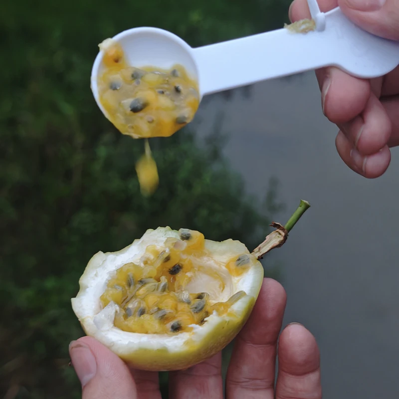钦蜜9号黄金百香果纯甜多汁应季水果黄皮百香果当季新鲜无防腐剂