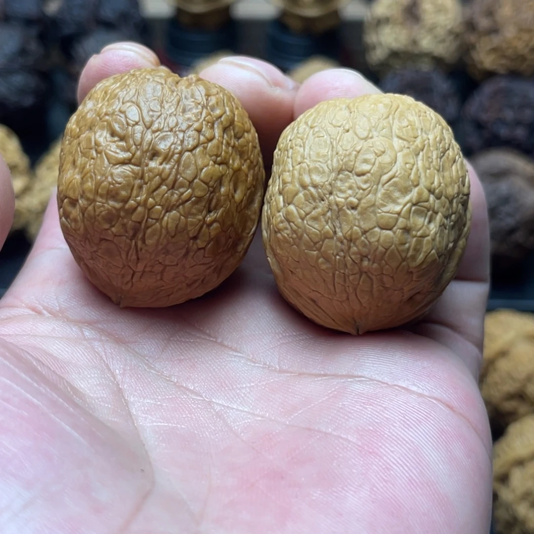 40mm蟒纹元宝 老果福利 单只反油