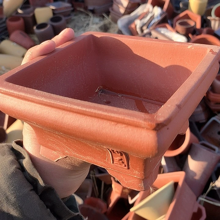 紫砂哈哈好哈哈哈哈哈哈