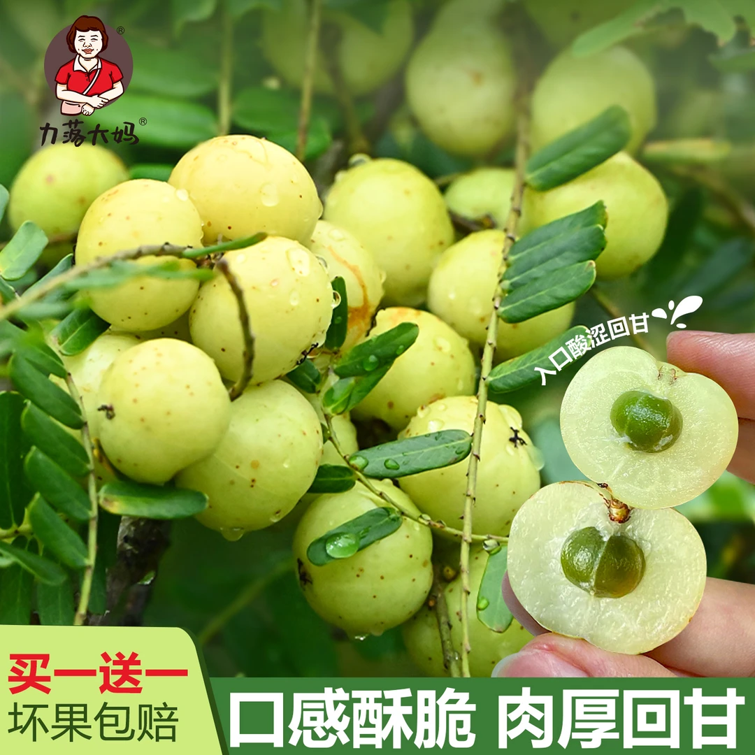 『高品质』潮汕大妈油甘果新鲜崩坎油柑孕妇水果榨汁