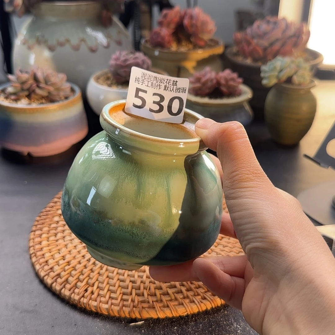 瓷片泥泥多肉花盆口6