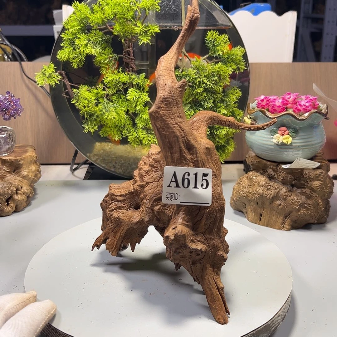 大果紫檀（缅甸花梨）大*子