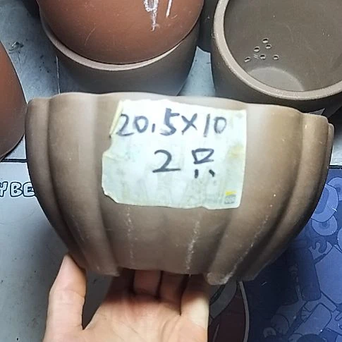 南瓜两个紫砂花盆