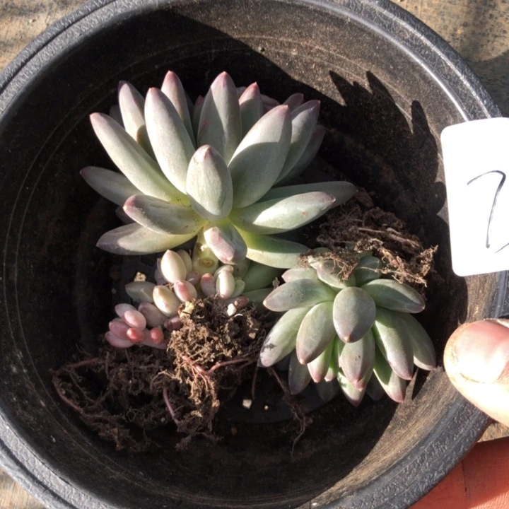 是***?73//-///////////////