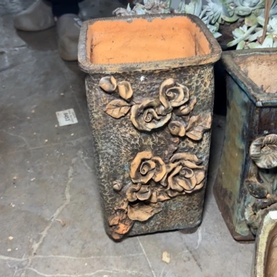 不**?谢谢姐姐～种苹果叶7602