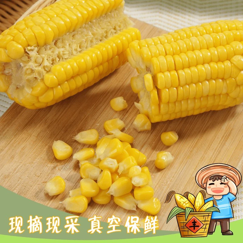 云南水果甜玉米段1000g（8-11段）真空包装 开袋即食 低脂代餐