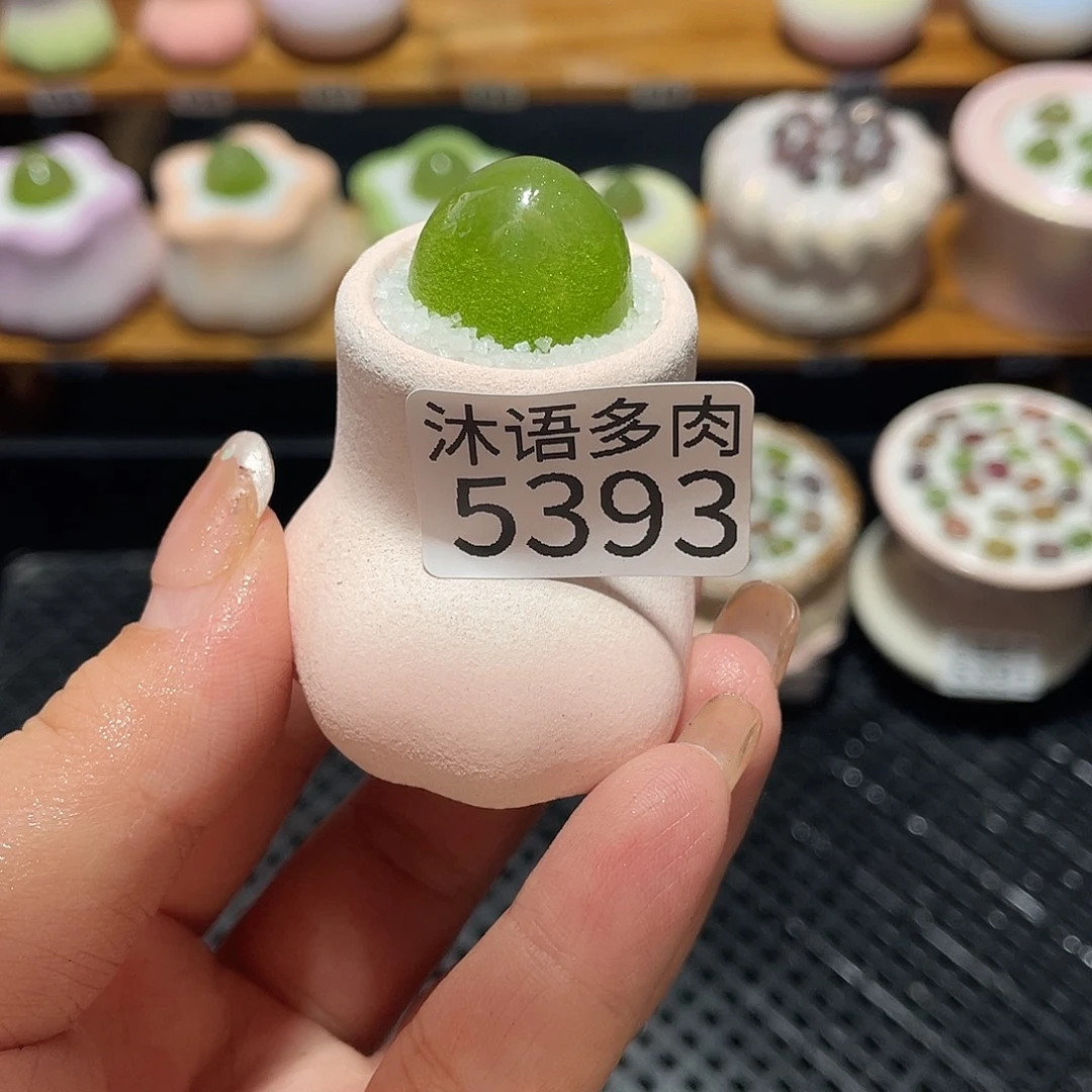 逆***亲带盆土植物 一物一拍5393