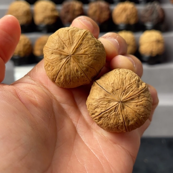 把件文玩核桃6-03