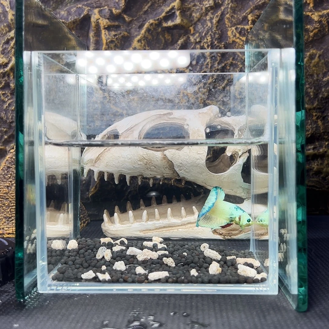 斗鱼精品精品精品精品精品精品