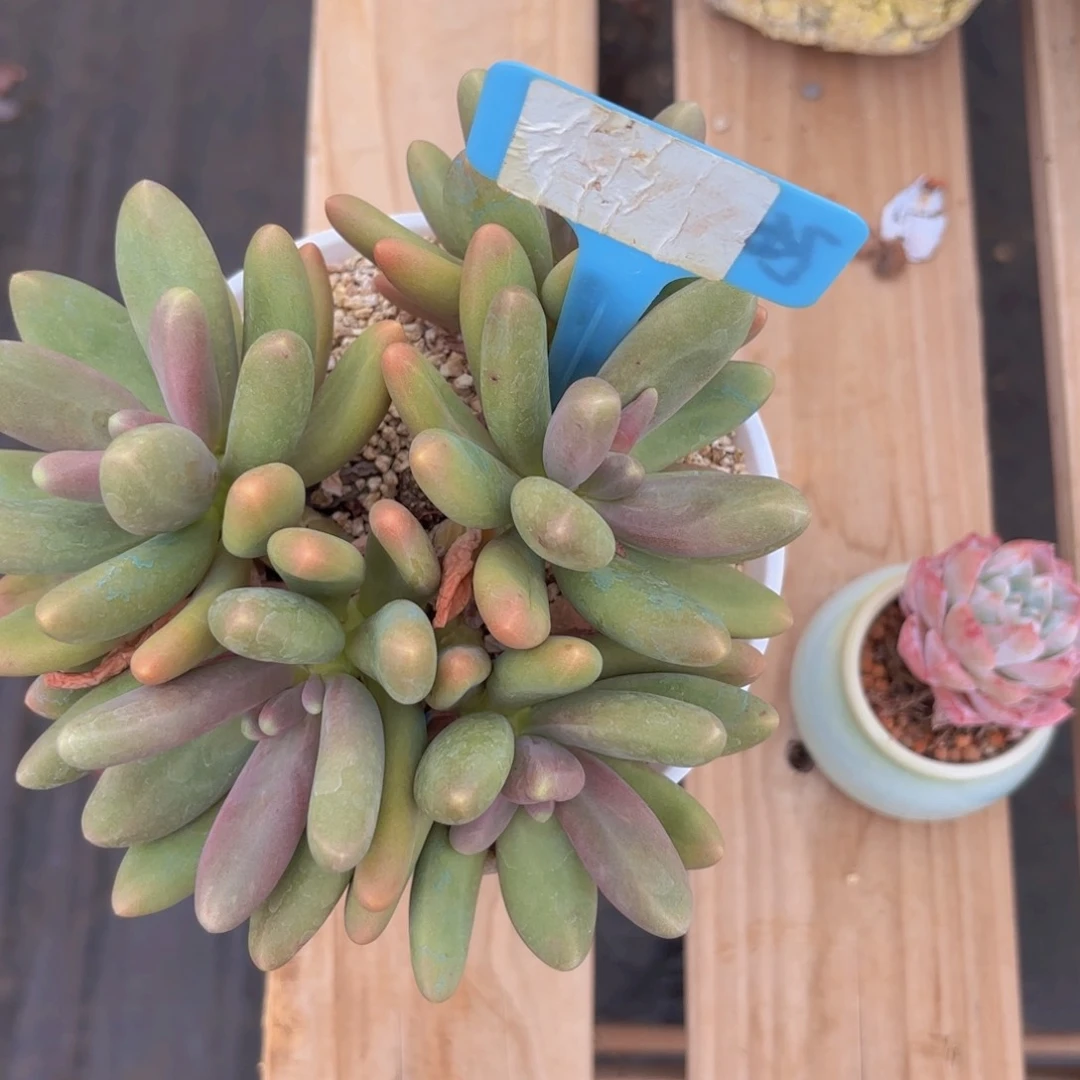 临****馆啦啦啦啦啦啦啦啦啦