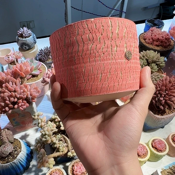 红陶桑*去去去去去去去