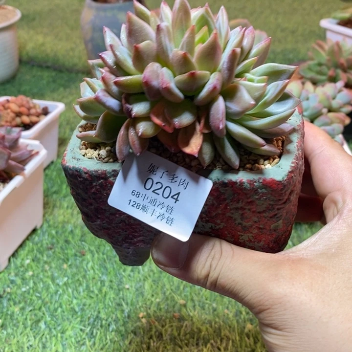 0204啊啊啊啊啊啊啊啊啊啊啊