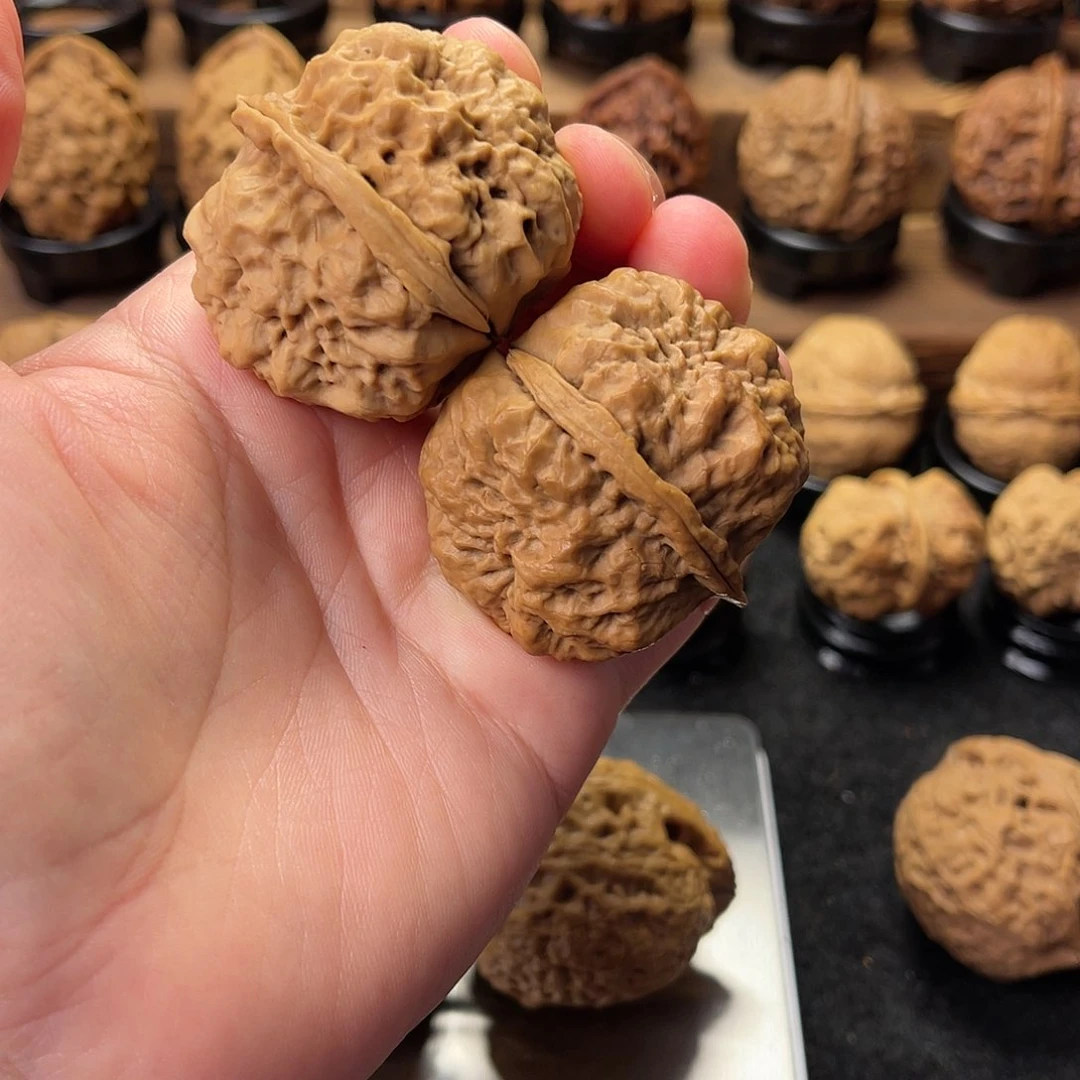 文玩核桃把件黑上古龙脊