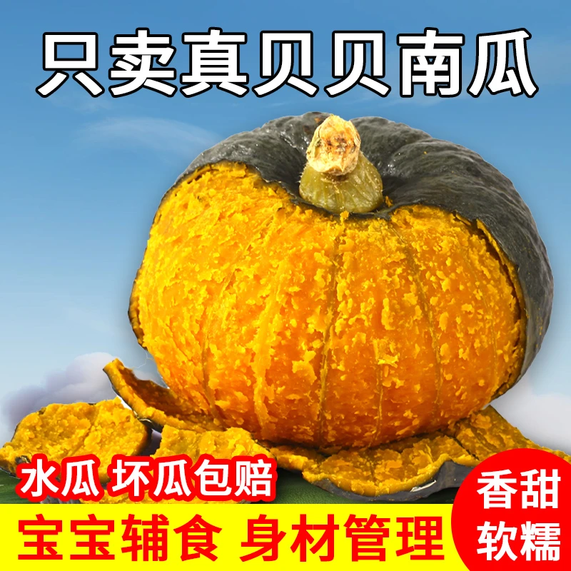 jfg沙漠真贝贝南瓜正宗板栗味老面粗粮婴幼辅食整箱发货
