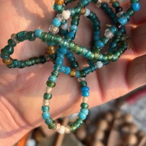 核桃木/黑胡桃（胡桃木）紫****?