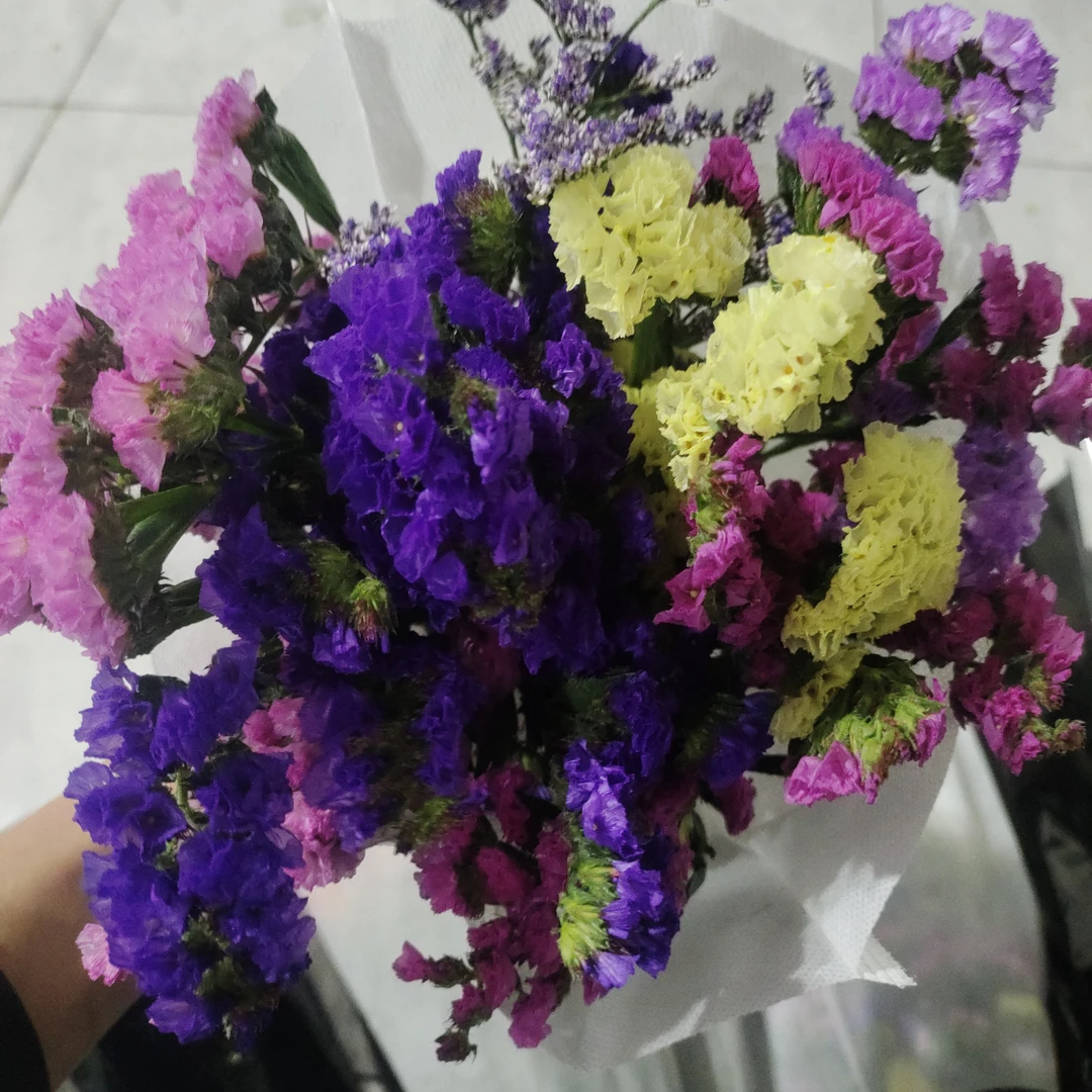 【勿忘我】任意2单京东包邮