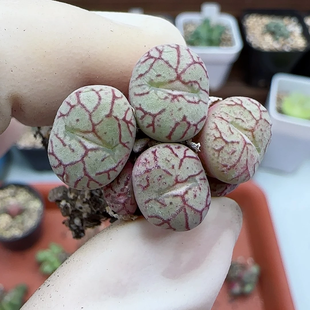 398福利福利福利