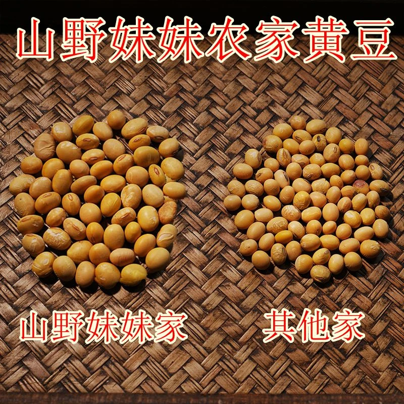 非转基因农家田埂大豆黄豆肚脐眼大颗粒饱满活豆浆2大包囤货装