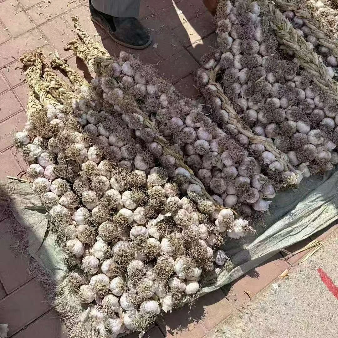 【张大庆专属】农产品大蒜