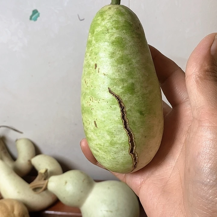 玩***妈青皮葫芦手把件摆件