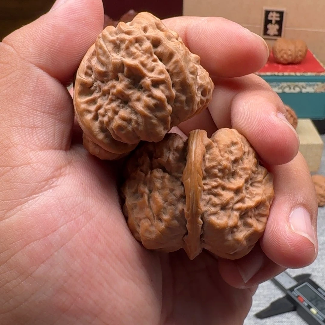 文玩核桃吊坠蛤蟆100052