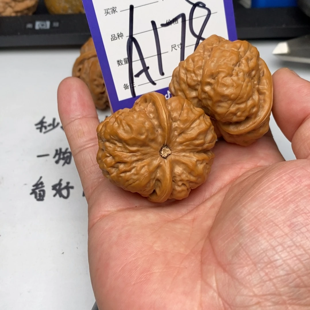 Y***t核桃手串/手链A178蛤蟆头