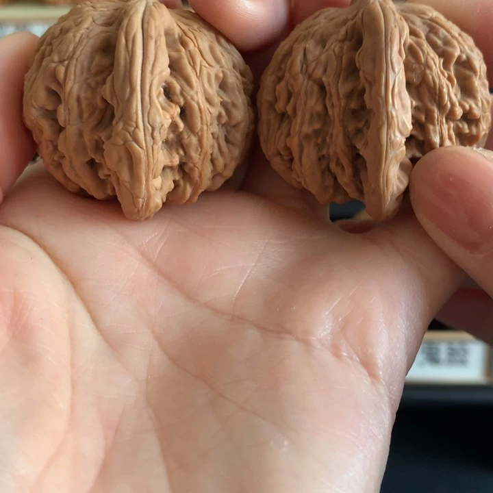 文玩核桃把件麦穗虎39白茬