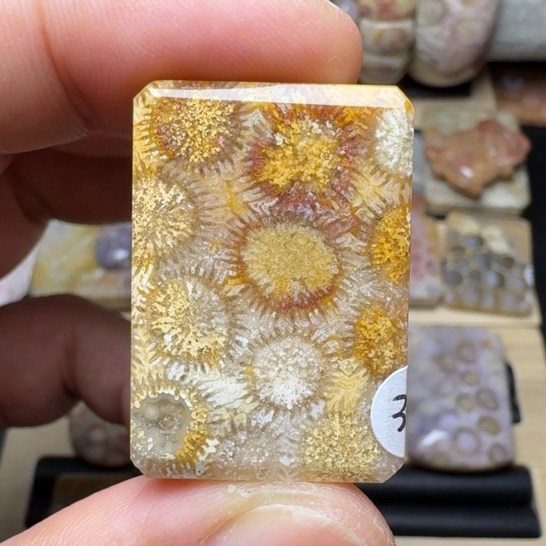 硅化玉未镶嵌纯天然色有机玉石保真色