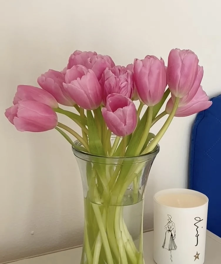 （新粉）郁金香鲜切花水养办公室观赏东北基地产地直发顺丰包邮